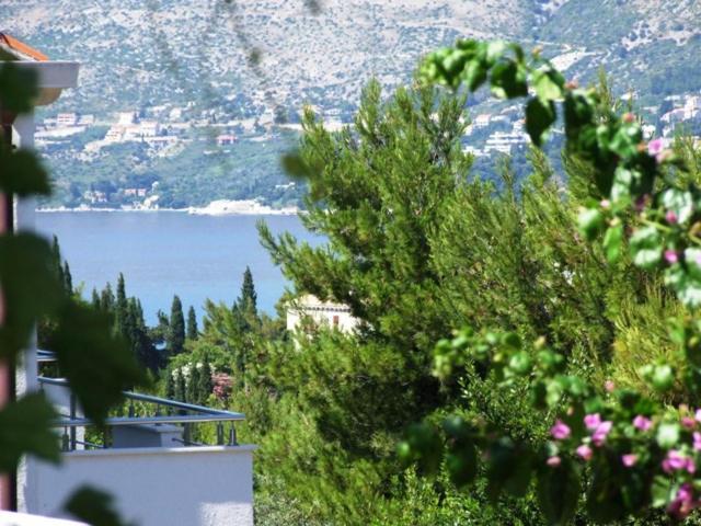 Villa Kipre 2 Cavtat Exterior foto